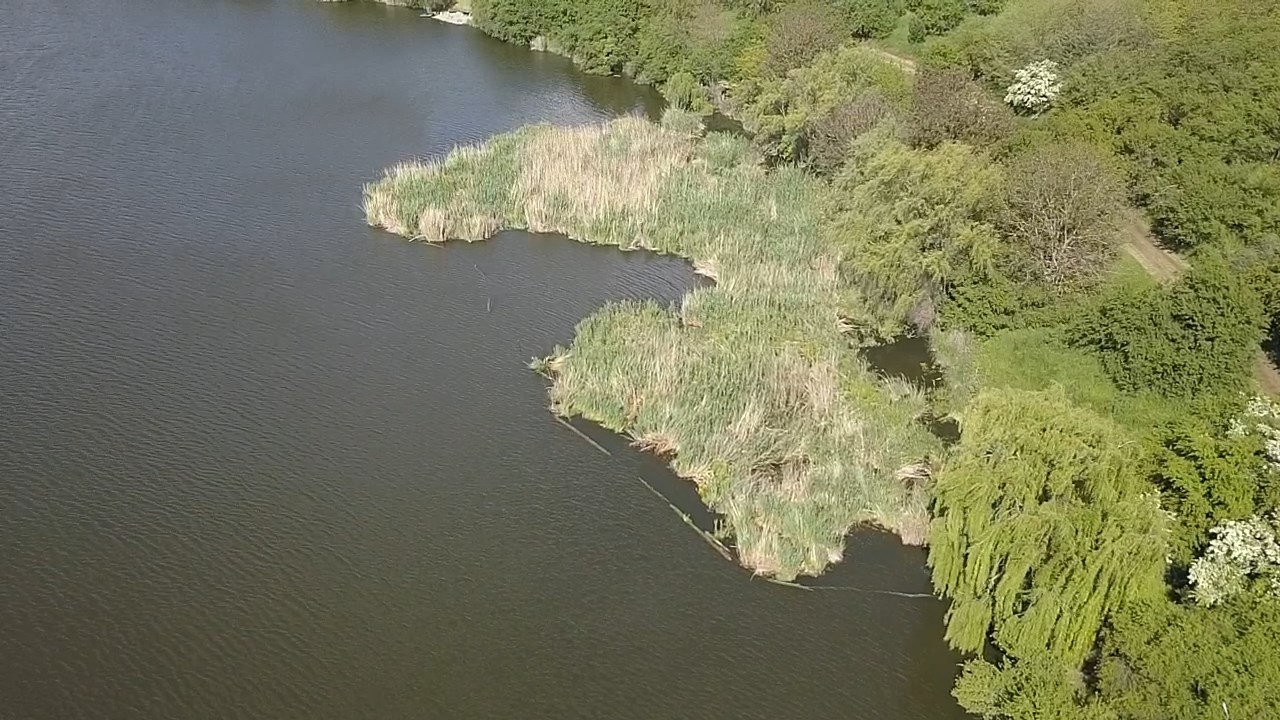 Tancabesti 7 - 10 mai - dji1683617354860.jpg